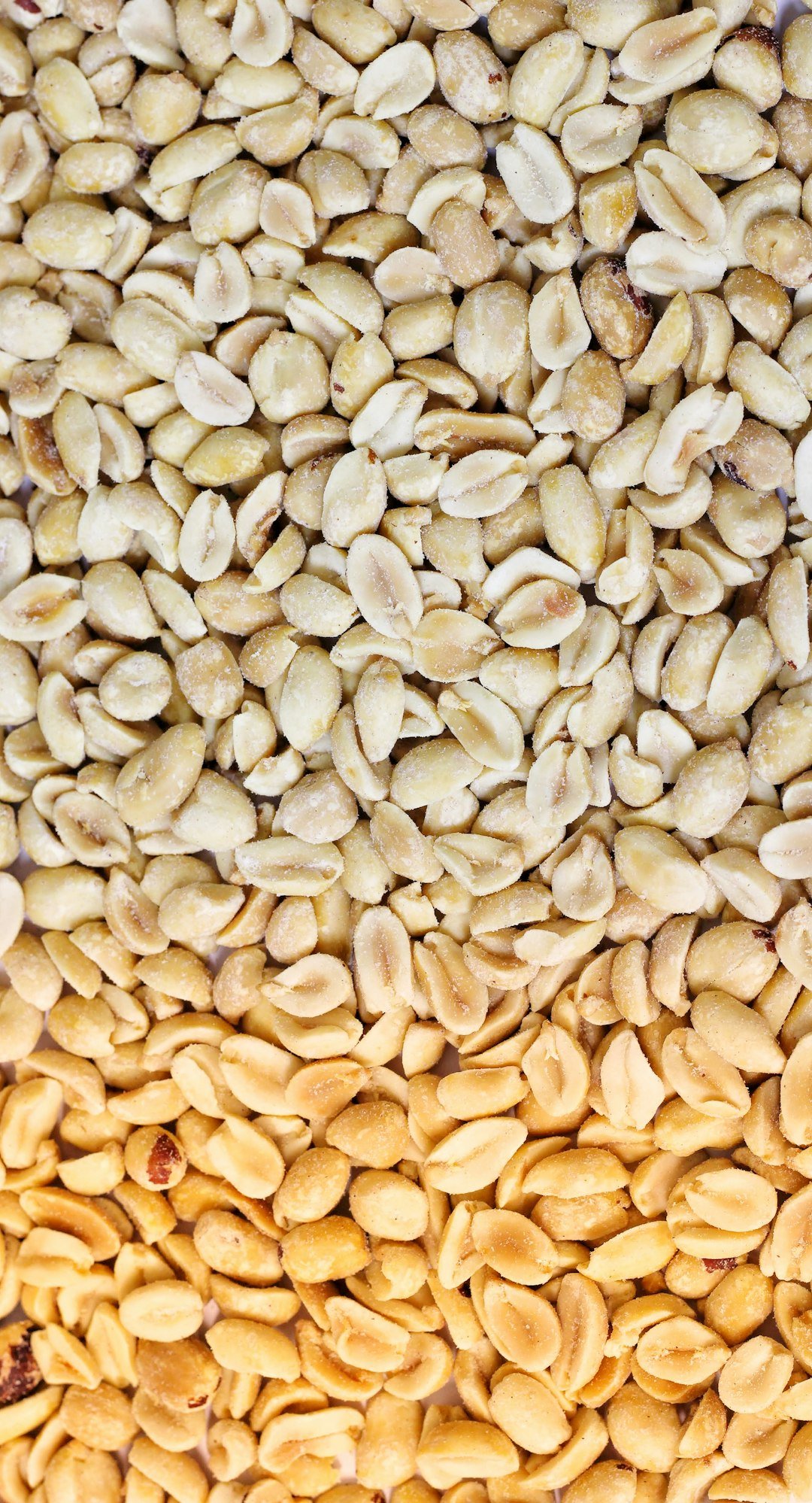 a-close-up-of-a-pile-of-nuts-cjh8egbrh1q