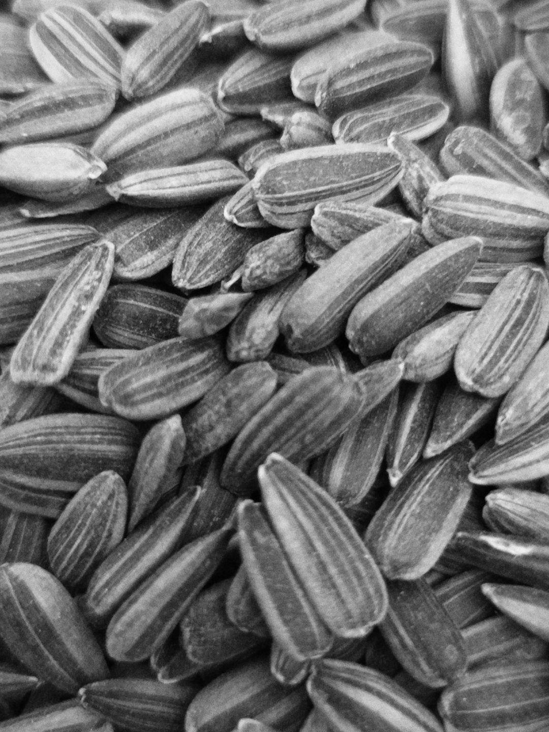 The sunflower seed is the seed of the sunflower. There are three types of commonly used sunflower seeds: linoleic, high oleic, and sunflower oil seeds. Each variety has its own unique levels of monounsaturated, saturated, and polyunsaturated fats. The information in this article refers mainly to the linoleic variety.