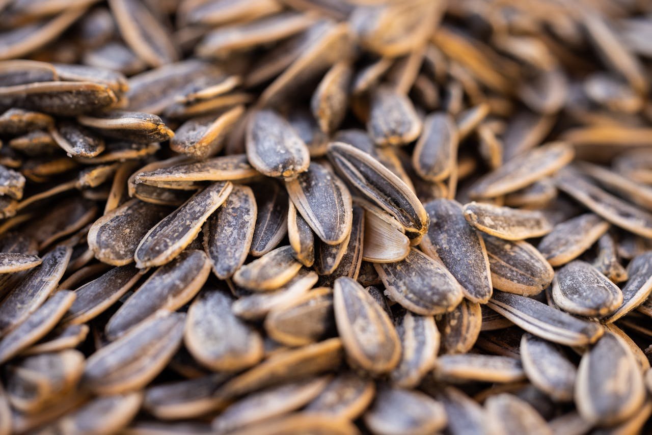 A detailed close-up of crunchy sunflower seeds, highlighting texture and natural hues.