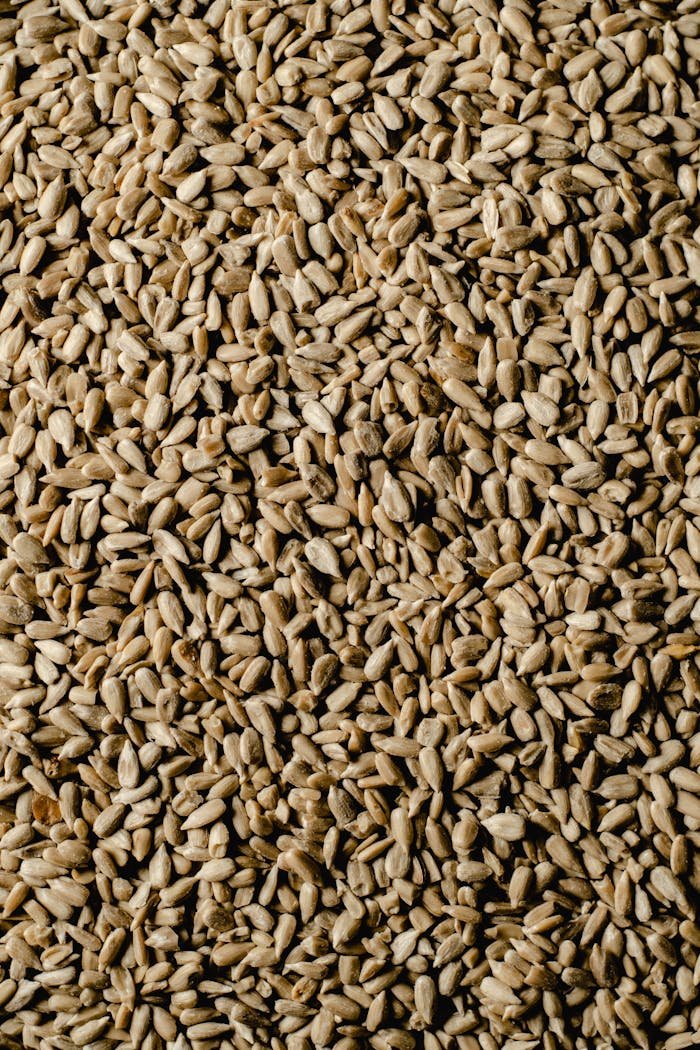 Close-up of peeled sunflower seeds showcasing their intricate texture.